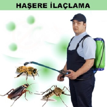 Ünye Böcek İlaçlama